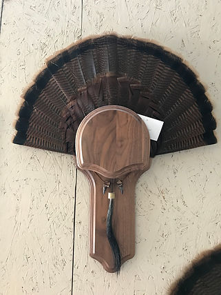 Turkey fan panel