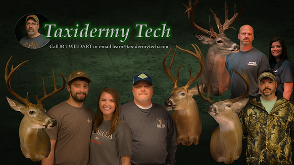 Award-winning wildlife mount by Expressions of Wildlife Taxidermy, Pensacola FL